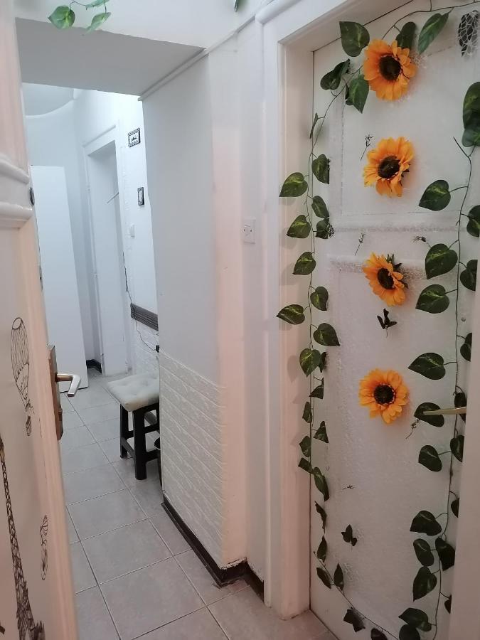 Low Cost Apartment ベオグラード エクステリア 写真