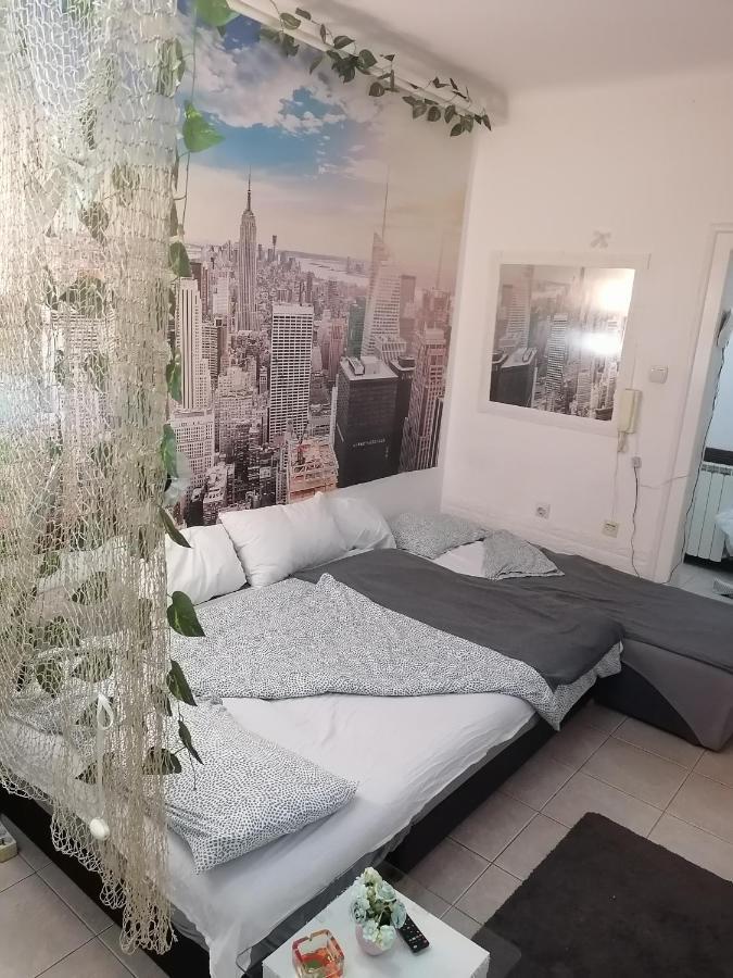 Low Cost Apartment ベオグラード エクステリア 写真