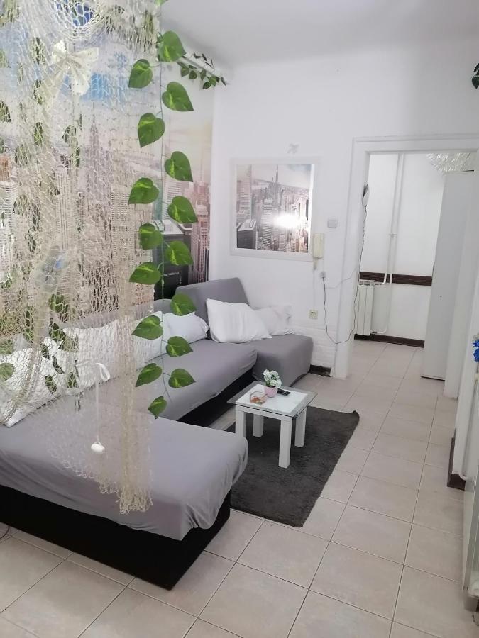 Low Cost Apartment ベオグラード エクステリア 写真